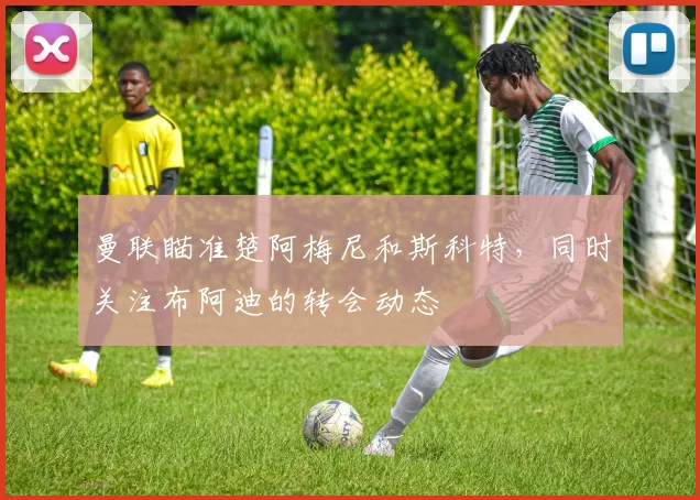 曼联瞄准楚阿梅尼和斯科特，同时关注布阿迪的转会动态