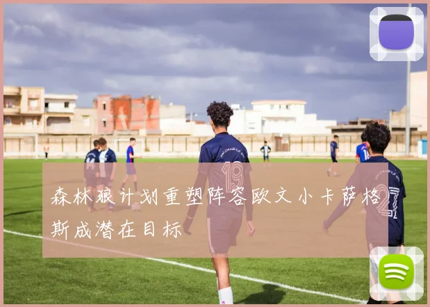 森林狼计划重塑阵容欧文小卡萨格斯成潜在目标